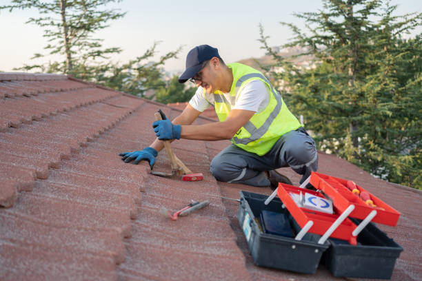 Best Shingle Roofing Installation  in Roaming Shores, OH